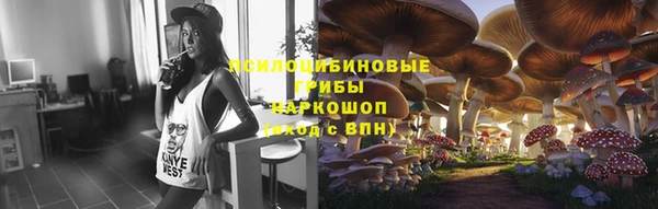 дмт Верея