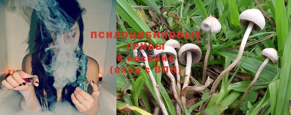 индика Верхнеуральск