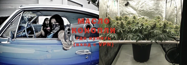 дмт Верея